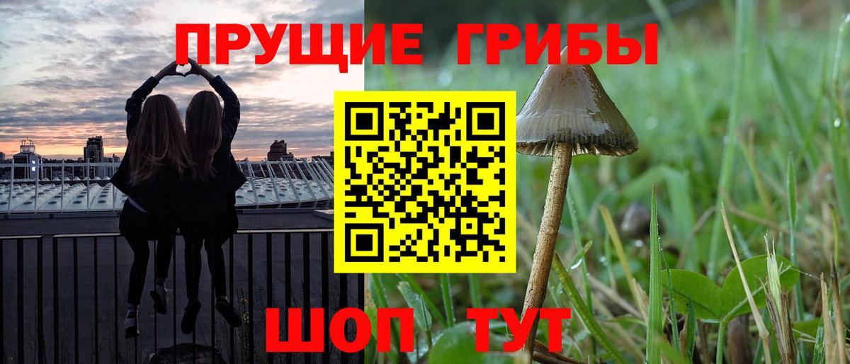 Псилоцибиновые грибы GOLDEN TEACHER Кимры