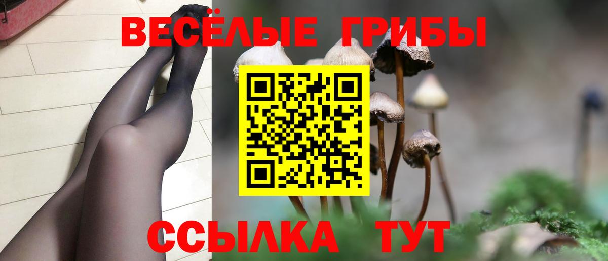 Псилоцибиновые грибы мицелий  Вход с VPN  Кимры  Галлюциногенные грибы Magic Shrooms 